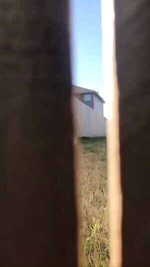 Wanna be my neighbor?