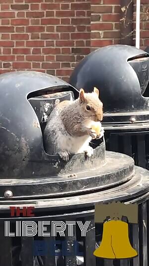 Fat piece of shit eating trash at the liberty bell