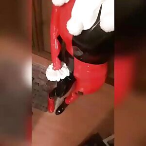 Original Harley Quinn - Bonnidolly