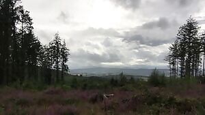 I wish someone saw me