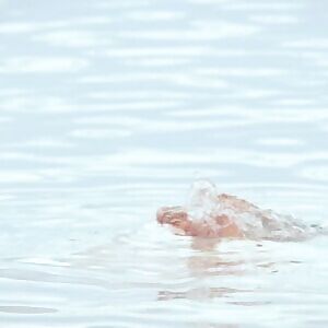 Absolute voluptuous sunny leone